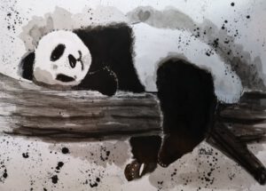 Art by Emmy - Emmy Troost - Schilderij - Slapende pandabeer