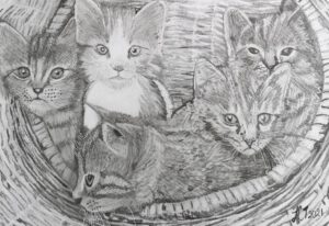 Emmy Troost Illustraties Kittens
