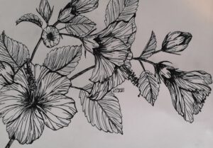 Emmy Troost Illustraties Bloemen in zwart wit