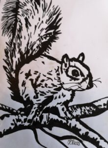 Emmy Troost Illustraties Eekhoorn in zwart wit