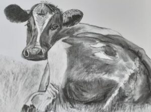 Emmy Troost Illustraties Liggende koe