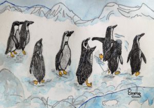 Emmy Troost Illustraties Pinguins