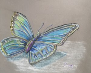 Emmy Troost Illustraties Vlinder